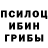 Галлюциногенные грибы GOLDEN TEACHER Tamara Webb