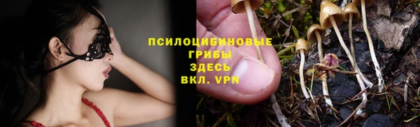 прущий лед Абаза