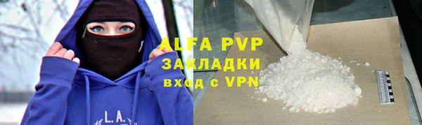 стаф Алексин