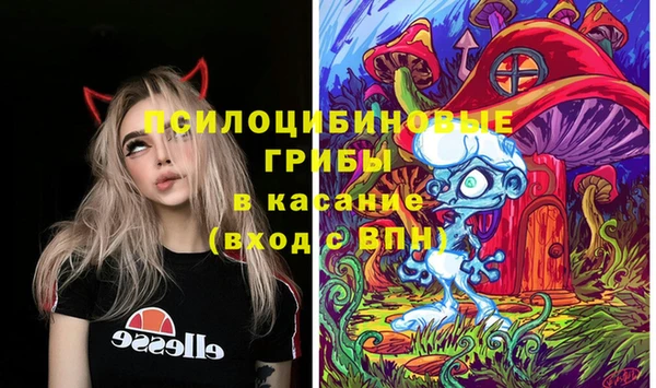 сатива Абдулино