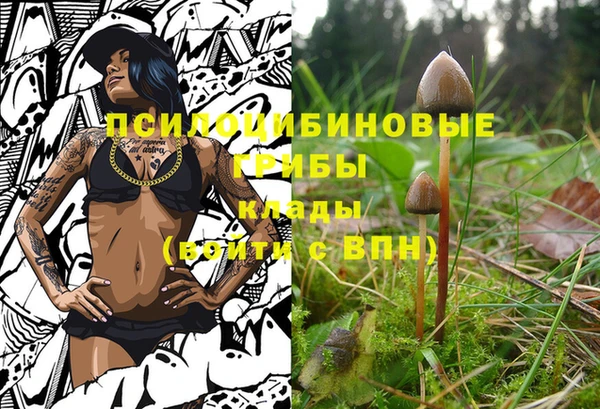 амф Алзамай