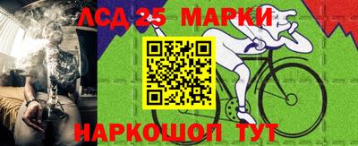 амф Сланцы