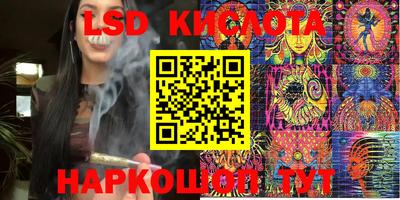 амф Сланцы