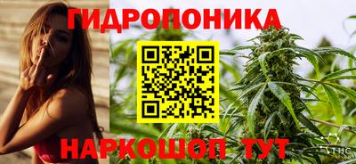 амф Сланцы
