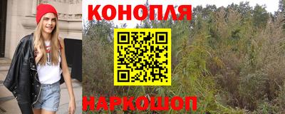 амф Сланцы
