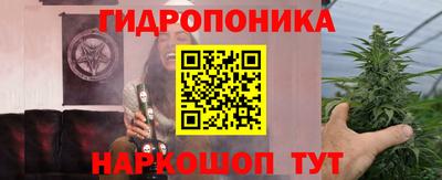 амф Сланцы