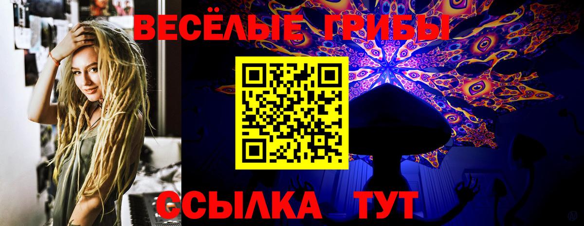 Краснокамск  Галлюциногенные грибы ЛСД  Вход с VPN 